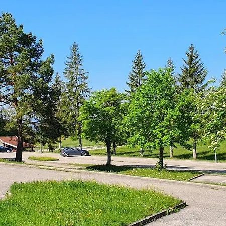 Vakantiehuis Feriendorf Hochbergle Haus 7 *